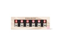 Mélange pour Maquillage Permanent PERMA BLEND Set READY SET GO 6x14ml