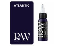 Encre de Tatouage RAW Platinum, stérile, coloris : Atlantic