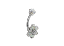 Micro banana Rook Titanium 1.2X7 strass strass flor