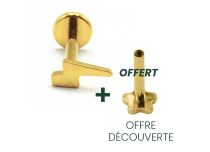 Labret Titane PVD Gold Interne Stérile motif Éclair | Itc