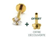 Labret Titane PVD Gold Filetage Interne Stérile motif Griffé Triangle | Itc