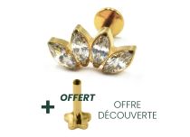 Labret Titane PVD Gold Interne Stérile motif marquise 4 Strass | Itc