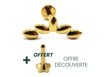 Labret Titane PVD Gold Interne Stérile motif Amande | Itc