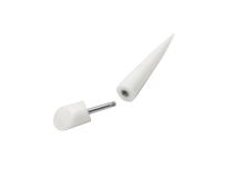 Ampliação falsa do osso ou corno direito |Itc