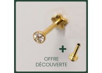 Labret PVD Gold Interne Stérile à Strass | Itc