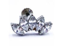 Etiqueta Titane Interne Stérile motif Couronne de 5 Strass Blanc | Itc