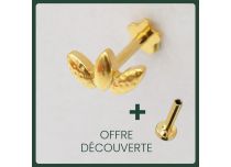 Labret Titane PVD Gold Interne Stérile motif 3 Feuilles | Itc