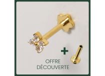 Labret Titane PVD Gold Interne Stérile motif fleur 4 strass BL| Itc